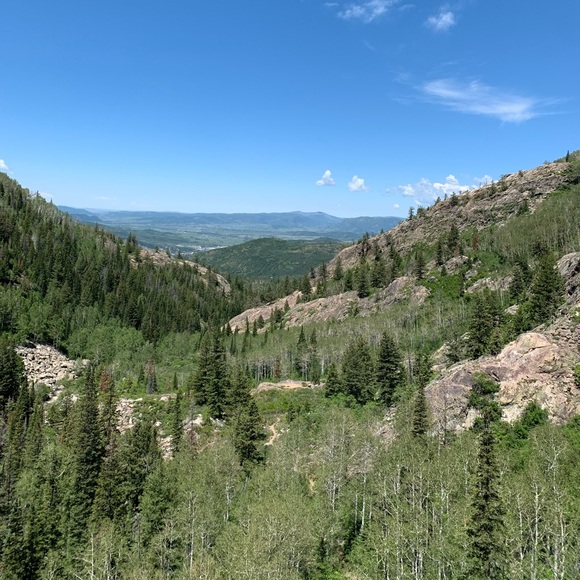 Meet your Posher, Cal - Picture 1 of 1